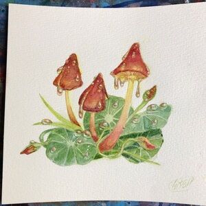 Mushroom nasturtium Watercolor Painting Original Art Small Wall Decor Signed